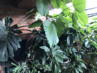 Ae33037607da4f7191db23992eb2f6d7