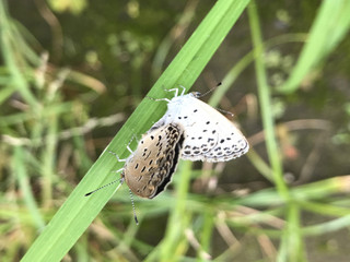 4f48d047e4e447bab92e08e457b16df8