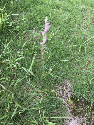 Aea5303eb4c94c29aa8c290dca72573e