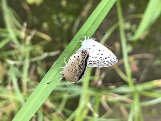 Ffeb3084ffea4059a4b36bf4511ff4ca