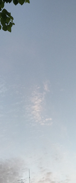 2968ca8b9f6b401a8c515401d33dbcd1