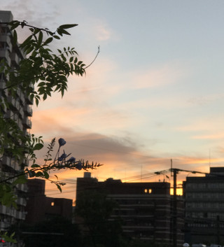 848c409b2806413e94c01c31972c0574