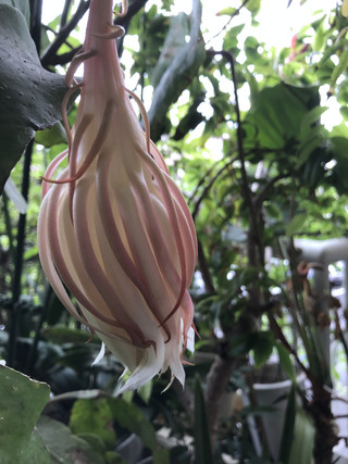 02ae1b990cde4e80addafd316f0d2b02