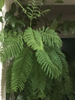 781e64c213094568ae47d3c622f45e43