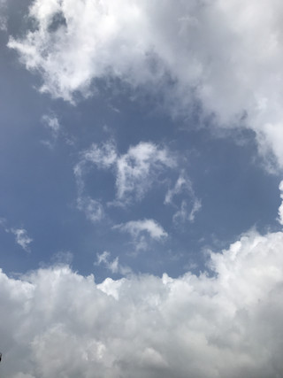 24cd3c3cb2bb4eeb9dffbe1ef2ad4b18