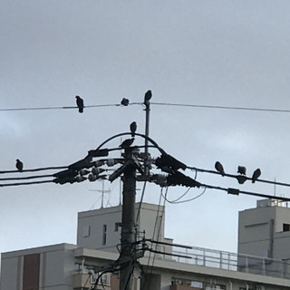 4ae8ff5dc4174c67bd3a20ba1e2ac757