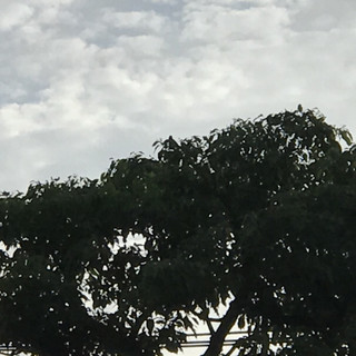 Eeb1296cd5954a58af6e5b54784703cf