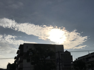 F353101dda4b499f9173d5c875690a20