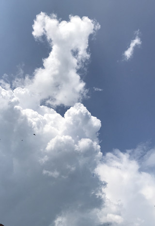 9e6264ca0e3940fab2ee638cb73e03ab