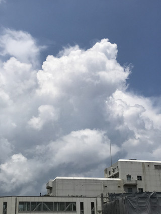 A2ddd792db914f03a1c77d045aa1b50e