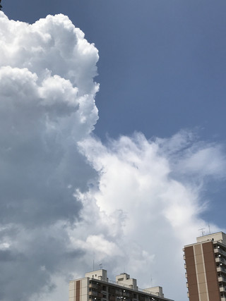 Bf979133d66e49d5b2a8ebf63c66ed53