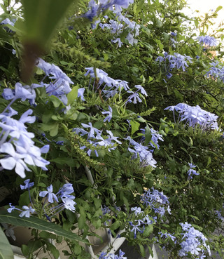 494bdc6f3fad451a99b9ccb6faa210d5