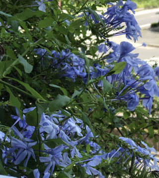 D197e65bf2bc46d6a2529f8309ad77c4