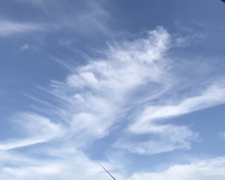 Eba12ac826f24170ba1241932d4c4ce2