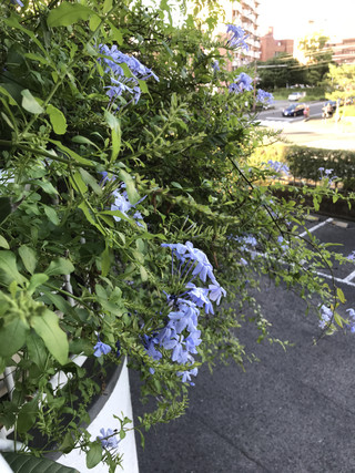 Fd78c03597364ca4ac69337581f2d903