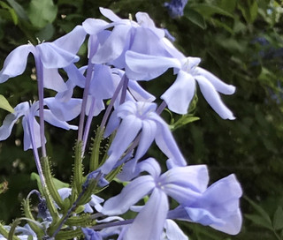 Fea185e13a054807a83da70cbf9941be