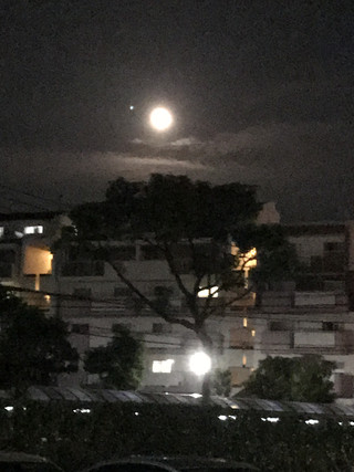 7a91a853684c4dfaadb1465c0649636c