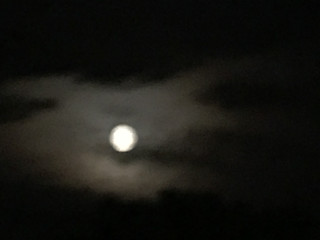 82a6a73c74f848288fba16583b5a097e