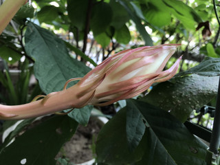 4424ff182a4b45728c3fc435813666b0