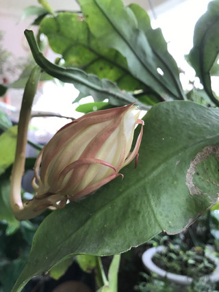 Aeb78d898ddb4c1195de5890d8f94a72