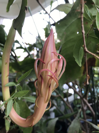 Bc4ab412971a40c486b0d82f4e627996