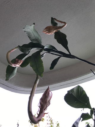 Dd174f1124114e948750264894078b9b