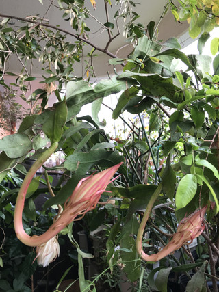 09579a0ef0f249359544ee7dcd175285