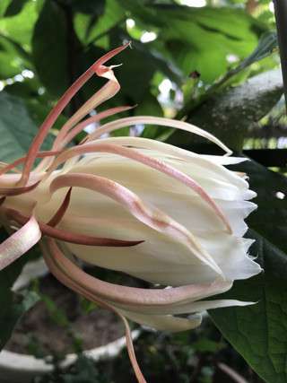 68feabe18aaa400489fbc5faae115b6f