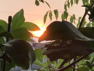 913181eb48fb4c59b6d915bc1fc08fde