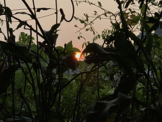 9f20437da8974043b679a5e466d529ca