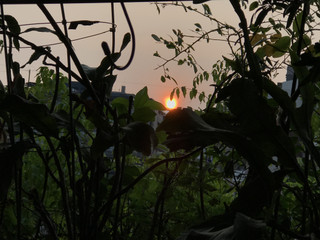 Bbfde373286143d5963c9774fcd42f62