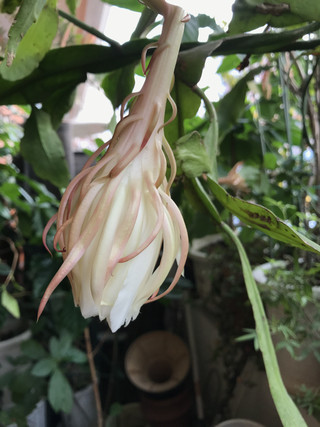 Bf5592f36fd143c799ebe230ee5563ce