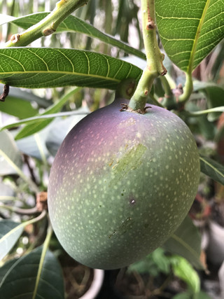 01d526e85e20439499c04b7b608cdf8a