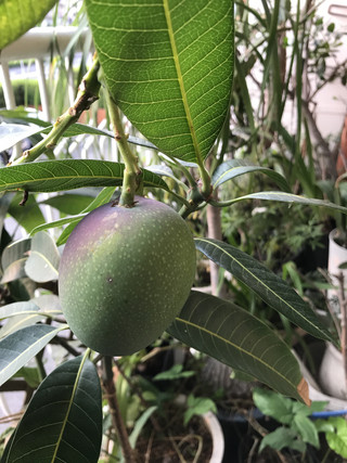 222bc7d1075b40acbc881212dafffa73