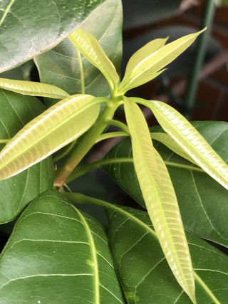 9536b1824d4844e4b1a434530b4401ea