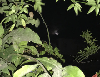 0a9d3193b1864409b4593429b0281ce2