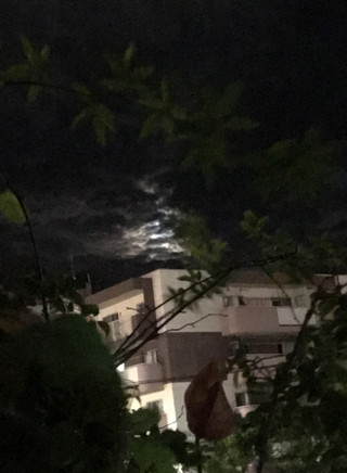 11ed9e2641234350a85b462fac1b6703