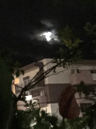 2af1c0346b3e405087b8665c7e7596b4