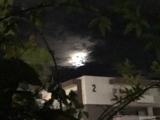 5b3dbd82d61f4308989528841d08b20f