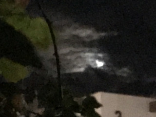 Ef64a14a2414454684566ed0d531afc5