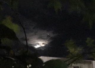 F25ef61039aa42f2866196ab28823626