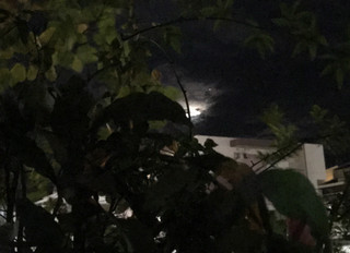 Fc662476a65748388613d9cfa2f0f062