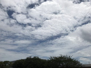 0185a2ee81744afaa773e8c40a86e139