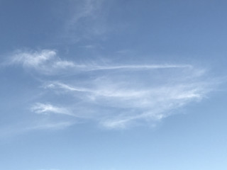 0941ed43d2964e02b1275047ea3004a9