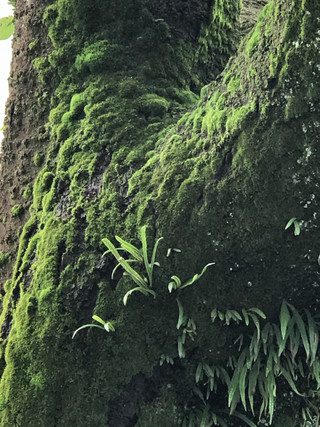 5679aec2a4bf4849806eaa5f6bfbf9e9