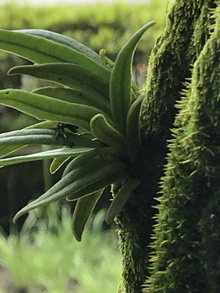 B326e69105204ac7a20547b0dcb51566