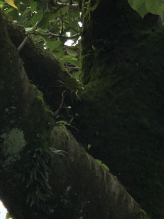 C24594ced5104d5c92b6480d6b98f300