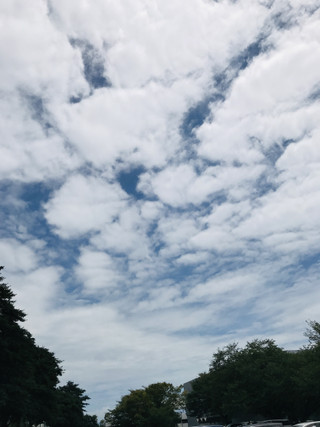 Cf6e1e6cf2b8489f92a1f9a12ff1bbad