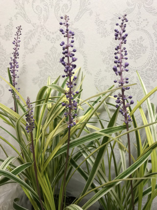 33c047ce032c47e4acc541cf3b43864f