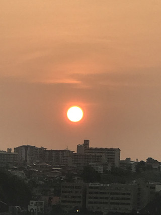 0d3f7bb576db41ee8e4b294f3f283501